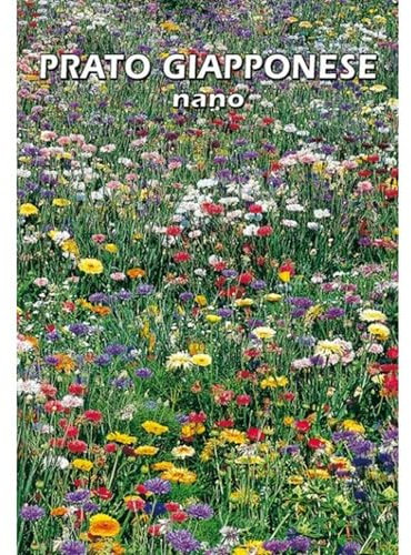 PRATO GIAPPONESE NANO (SEMI)