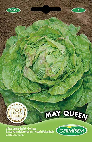 Germisem May Queen Semi di Lattuga 5 g