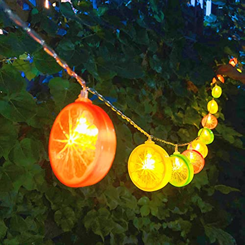 Riaxuebiy Künstliche Zitronenscheibe Girlande 3m 20LED 3D Gefälschte Früchte Hängen Mixcolor Zitronenfee Lichterkette für Hochzeit Garten Herbstdekoration (Mischfarbe Zitrone-Batterie)