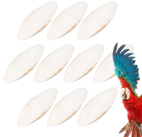 Groß Sepiaschalen, 10 Stück Sepiaschalen Tintenfisch Natürliche Sepiaschalen Schildkröten Zubehör Für Vögel Reptilien Schildkröten Bartagamen Und Schnecken U Mineralversorgung Blisterpackung