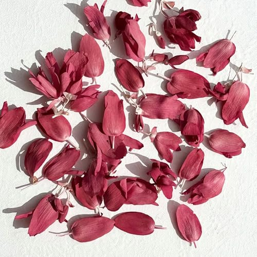 Edible Petals - 200ml - Freeze Dried Red Bolivian Begonia - Certified Food Grade (493)
