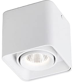 Faretto da Superficie con Angolo Regolabile, 10 W, COB, Lampada da soffitto Piatta per Interni, antiriflesso, Luce da soffitto ad Alta luminosità, Illuminazione Decorativa per corridoio del merca