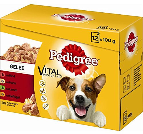 Pedigree Adult in Gelee im Multipack 4X 12x100g Hundefutter