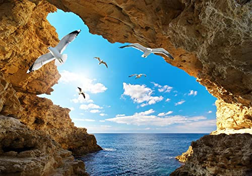 Wesmilewallpaper Papier Peint Panoramique 3D Intissé Tapisserie Paysage Naturel De La Grotte De La Mer De Mouette De Nuages ​​Blancs De Ciel Bleu Muraux Tableau Mural Poster 350x245cm
