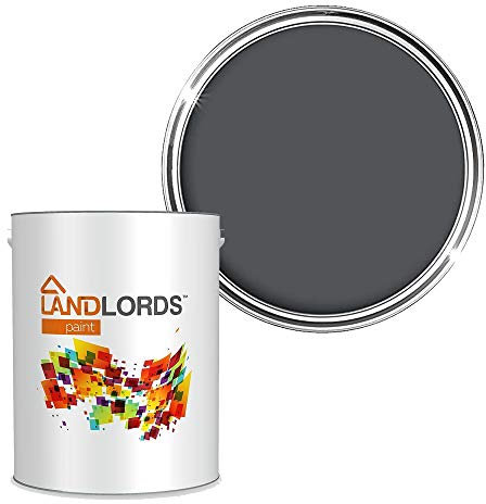 Landlords Anti Damp Paint | Matt Finish | Prevent Build-up of Mildew | Paint for Wall and Ceiling | Anti Condensation and Mould | 5L Equinox