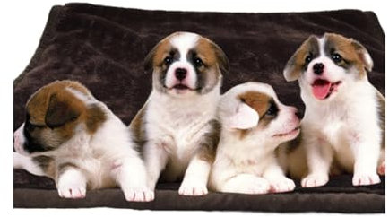 wasserdichte Hundedecken Waschbar Katzendecke Flauschige Weiche Fleecedecke rutschfeste Inkontinenzmatratze Für Kleine Mittlere Hunde Katzen (Color : Brown, Size : 150 * 200CM/59 * 78.7IN)