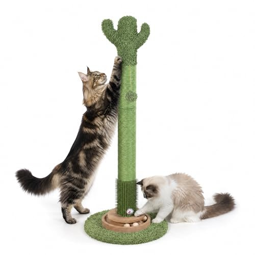 Poste rascador de cactus para gatos, torre de árbol para gatos de 35 pulgadas de alto con bola colgante para gatos de interior y adultos, cuerda de sisal de cactus para gatitos con juguete interactivo