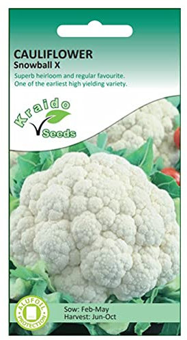 Kraido Cauliflower Seeds Snowball X Brassica Oleracea 250 Seeds Grow Your Own Vegetable Indoors in a Greenhouse or Outdoors in a Garden or in Large Pots and Containers