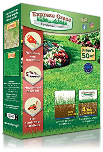 Professioneller Express-Rasen - Zuverlässig, kälte- und hitzebeständig - Ultra-schnelles und dichtes Keimen (10 Tage) - Alle Klimazonen (1 Box 50M²)