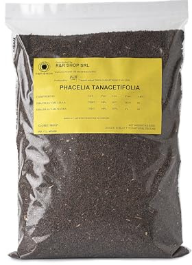 R&R SHOP - Graines de Phacélie, Phacelia Tanacetifolia, Floraison Rapide, Riche en Nectar pour Abeilles et Papillons, Idéale pour Pelouses et Jardins (500 g – 300 m²)