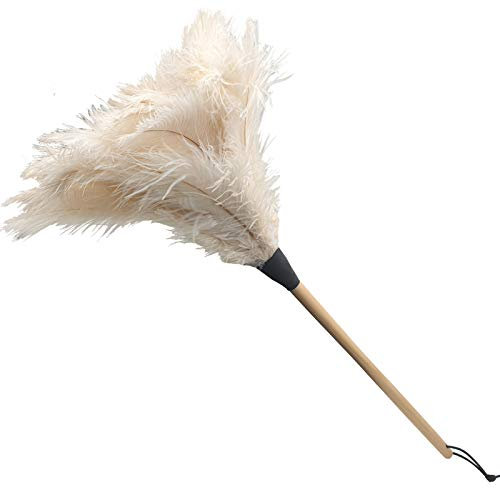 africX Luxuriöser Staubwedel mit elfenbeinfarbenen Straußenfedern - Staubwischer edel - Gesamtlänge 75 cm Staubfänger