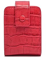 PORRASSO Etui à Rouge à Lèvres avec Miroir Femmes Mini Trousse à Maquillage Portable Sac de Rangement des Rouges à Lèvres Rouge