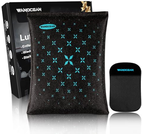 Deumidificatore Auto, 1 * 380g Riutilizzabile Assorbi Umidità, Assorbi Umidità Armadio, Silica Gel Deumidificatore Armadio, Tappetino Antiscivolo, con Anti Appannamento e Condensa sui Ripostiglio