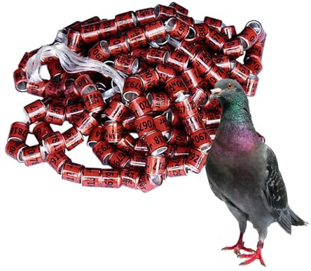 100 Stück Taubenringe 8mm 2025, Tauben Ringe Mit Nummer, Tauben Bandringe, Taubenringe Bunt, Vogel Fußring, Tauben Identifizierungsringe, Leicht Zu Unterscheiden