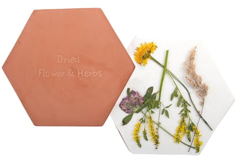 AC-Deco - Prensa de flores y hierbas de terracota para microondas (19,4 x 17,1 x 3,3 cm)