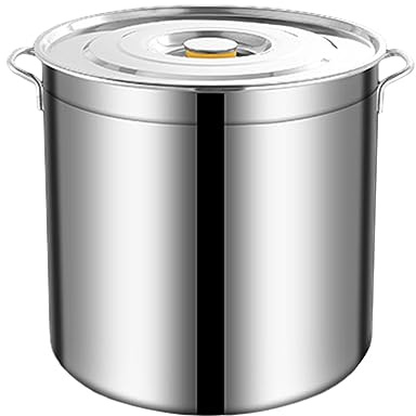 Gralara Pentola in Acciaio Inossidabile con Coperchio Secchio per Olio Resistente per bollitura di Paglia Cuocere a Fuoco Pentola per Pasta Grandi, 10L