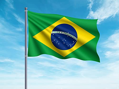 Oedim Bandera de Brasil 85x1,50cm | Reforzada y con Pespuntes | Bandera con 2 Ojales Metálicos y Resistente al Agua