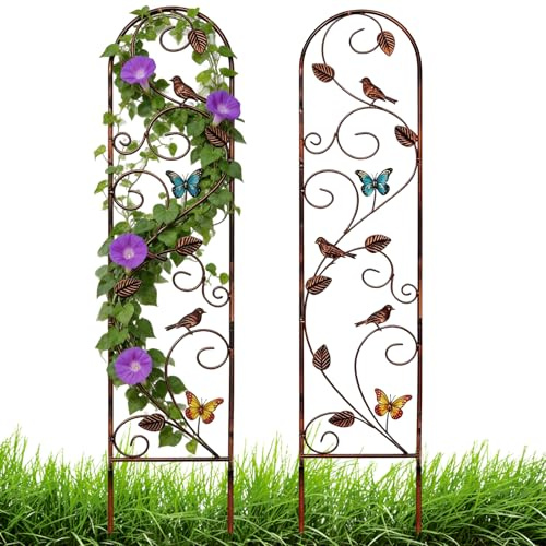 BRGD 2 Piezas Enrejados de Jardín de Metal de Colibrí, Enrejado de Cerca de Arco de Flores para Patio, Jardín, Césped, Terraza, 150cm Alto x 28cm Ancho