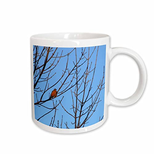 3dRose Red Robin in Tree 15oz Mug