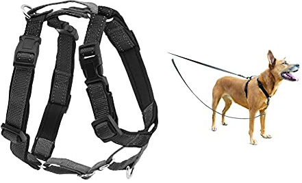 PetSafe 3-in-1 Geschirr, Hundegeschirr mit Rückhaltegurt, Reduziert Ziehen und Druck auf die Kehle, Größe S, Schwarz & Anti-Zieh Hundeleine, Kompatibel mit PetSafe 3-in-1-Geschirr, 1,2 m, Grau