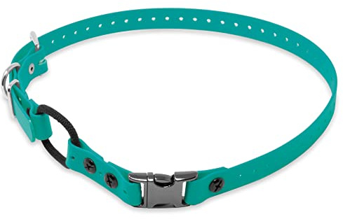 Educator Quick Snap Bungee Hundehalsband aus Biothane, wasserdicht, geruchsfrei, mit Schnellverschluss und D-Ring, verstellbar für individuelle Passform, elastische Komfortschlaufe, 19 mm, Blaugrün