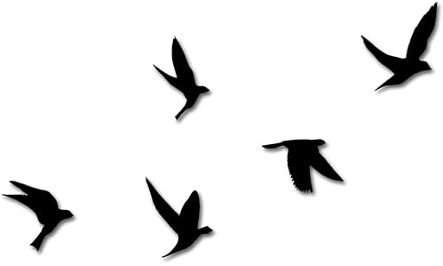 Wanddeko Vögel Acryl | Wanddeko Wohnzimmer – Moderne Wanddekoration Schwarz für Wohnzimmer, Schlafzimmer & Flur – Minimalistische Vogel Silhouetten für stilvolle Wandgestaltung“