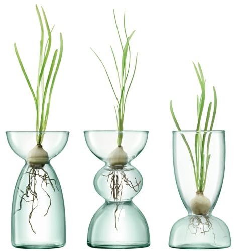LSA International Canopy Trio Vase Set, One Size, G1583-00-161