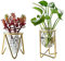 2 Piezas Jardinería Hidropónica Decoración, Florero de Vidrio Con Marco de Metal, 2 Especificaciones, Para Colocar Plantas Verdes en el Escritorio