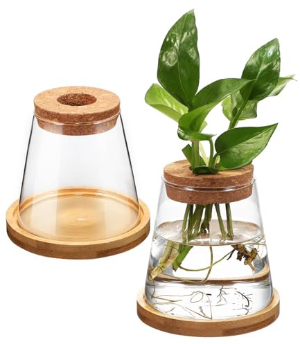 WRITWAA 2Pcs 330Ml Hydroponic Planter Glass Vases with Perforated Wooden Stoppers and Bamboo Stands for Plant Propagation Station, Glass Terrarium Jars Suitable for Home and Office