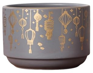 HTYUKFDG Pentola per pianta in Ceramica pentola Moderna Floreale Moderna con pentola Rotonda con Foro di drenaggio con Motivo a Lanterna Dipinta d'oro per succulenta Agrifoglio di Orchidee