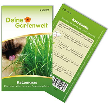 Katzengras Samen - Avena sativa und Lolium perenne - Katzengrassamen - 10 g Saatgut für etwa 5 Töpfe