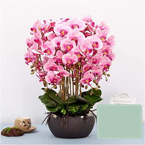 HRTC Künstliche quadratische Orchideen-Vase im Kunsttopf, Kunstorchideen, Pflanze, 12 Stiele, große künstliche Phalaenopsis-Blumen, Ornament