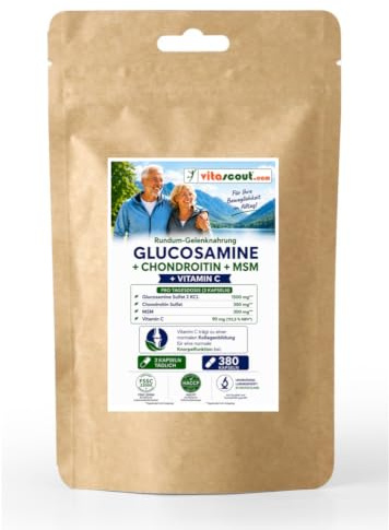 MSM & Glucosamin Sulfat Pulver mit Chondroitin – 380 hochdosierte Kapseln, enthält Vitamin C