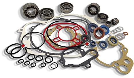 KIT REVISIONE MOTORE COMPLETO CUSCINETTI PARAOLI GUARNIZIONI MINARELLI AM 3 4 5 AM6