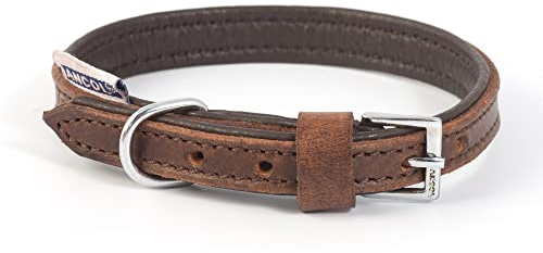 Ancol Strapazierfähiges Vintage-Halsband, gepolstert, Leder, Kastanienbraun, Haustier-Trainingszubehör, 26–31 cm, Größe 2