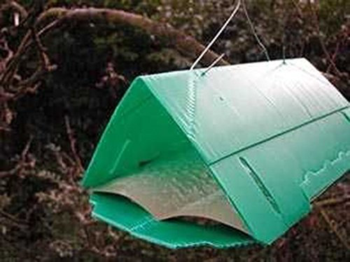 2X Agralan Pheromone Plum Fruit Moth Trap