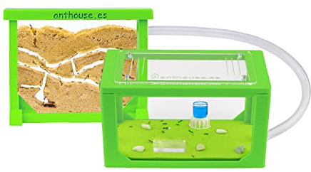AntHouse - Ameisenfarm aus Sand | 3D Mini Set (Sandwich + Futterbox) |Grün Ant Farm | Inklusive Ameisenkolonie