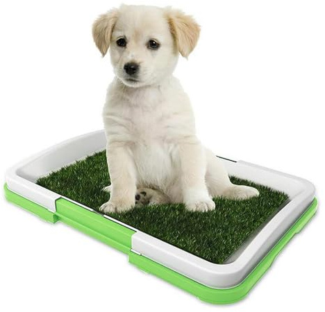 Dog Potty Grass Pad - Artificial Grass Layer, Reusable Training Mat, Quick Drying Drainage Base, Lightweight Portable Tray, Relief System for Indoor Use | Ideal for