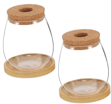 GARIOUANS 2 Sets Hydroponic Planter Clear Glass Vases with Bamboo Saucers Modern Water Flower Pots for Indoor Herb Propagation Root Observation Compact Terrarium for Office and Home
