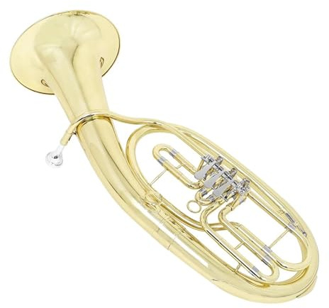Euphonium Tenorhorn Dreifacher Flachschlüssel Messingkorpus Professionelles Musikinstrumentenset Mit Teilen Handschuhen Und Taschen