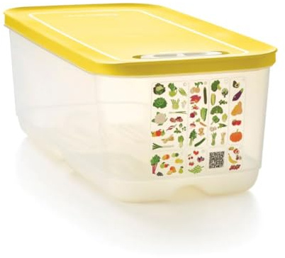 Tupperware VentilOfrais Dose 6,1 L - Aufbewahrung Obst Gemüse - ACE-Belüftungssystem - BPA-Freier Kunststoff - 38x18,8x13,5 cm - Profi-Qualität
