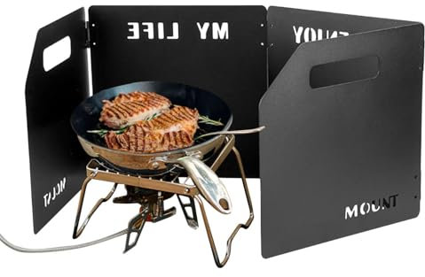 Paravento per fornelli da cucina – 4 parabrezza pieghevole per campeggio, protezione antincendio per fornelli esterni, protezione antivento da campeggio con borsa per il trasporto, bruciatore da