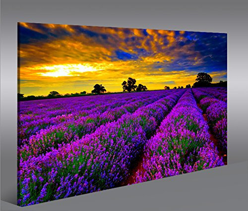 islandburner Bild Bilder auf Leinwand Lavendelfeld V4 Lavendel Provence 1p XXL Poster Leinwandbild Wandbild Dekoartikel Wohnzimmer Marke
