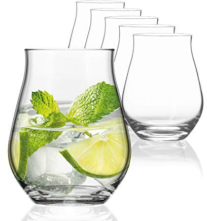 Sahm Sensorik Gin Gläser Set 6 Stück - 420ml Sensorik Gin Tonic Gläser - Tolles Gin Geschenkset