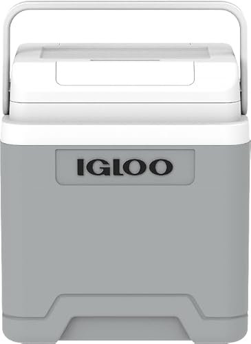 IGLOO IE24 DC Frigorifero Elettrico, 24 Litri, Mini-Frigorifero con Connessione 12V per Auto, Barca e Tempo Libero, Grigio