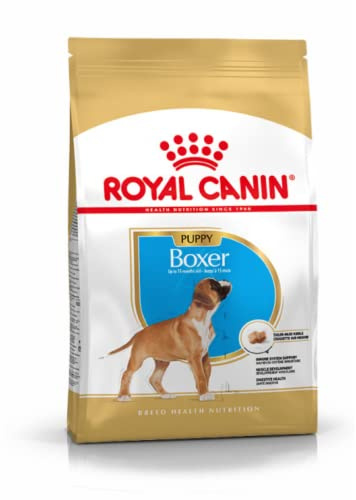 Royal Canin Boxer Junior 12 kg, 1er Pack (1 x 12 kg), 12kg