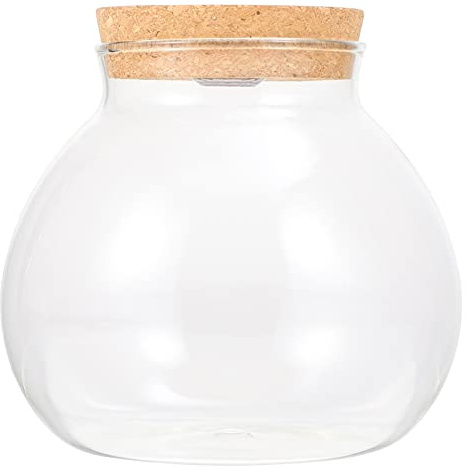 FRCOLOR Led Glasflasche Mit Korkdeckel, DIY Micro-Landschaftsflasche Mit Weißem Licht, Terrarium Für Wohnzimmer, Schlafzimmer Und Büro