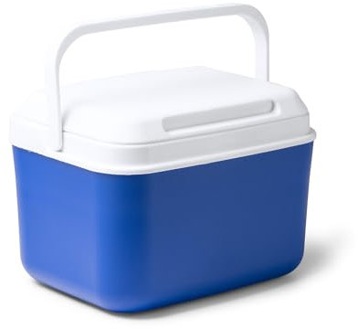 Starre Kühlbox, blau, mit Tragegriff und 5 Liter Fassungsvermögen, Lebensmittelbehälter für Strand, Camping und Camping, 27 x 20,5 x 19,5 cm