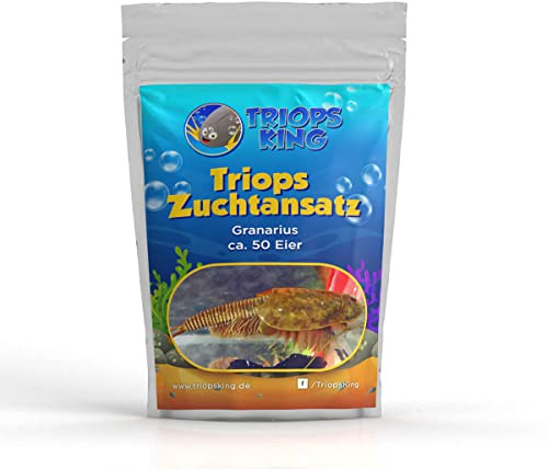 Triops Granarius Zuchtansatz 50 Eier