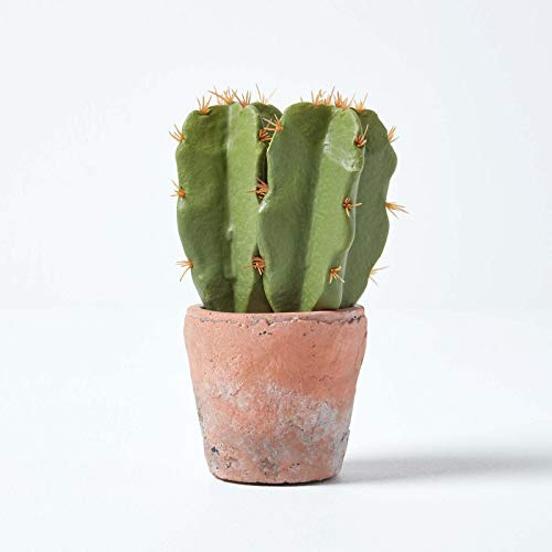 HOMESCAPES Petit Cactus Artificiel en Pot en Terracotta, 17 cm
